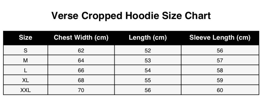 Zip up VERSE hoodie gray