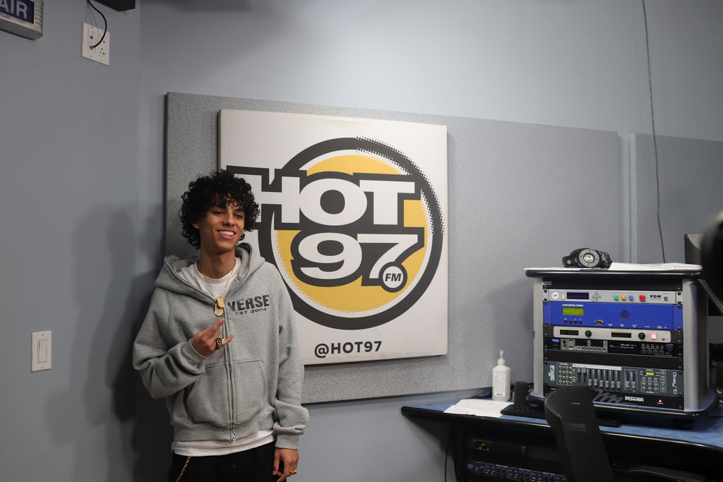 Zip up VERSE hoodie gray